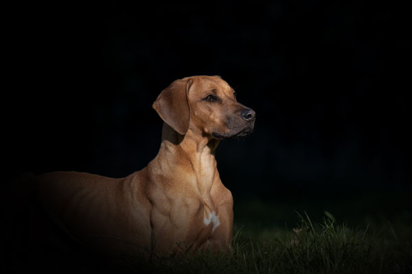 fotografiert von Isabel Poglitsch