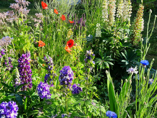 Sommer-Paradies