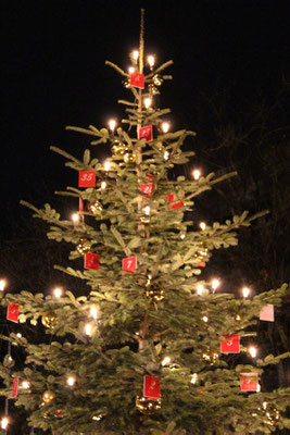 Gemeinsames Weihnachtslieder singen 2016