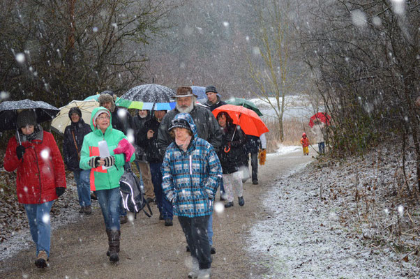 IVG Winterwanderung 31.01.2016