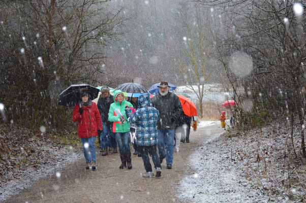 IVG Winterwanderung 31.01.2016