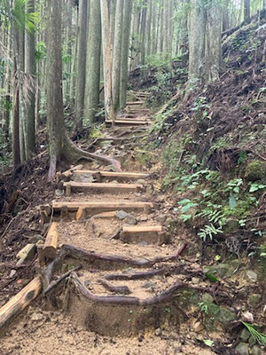 Sur le chemin du pèlerinage Kumano Kodo au Japon...