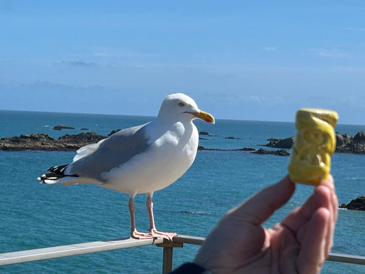 L'île de Bréhat, en Bretagne ...