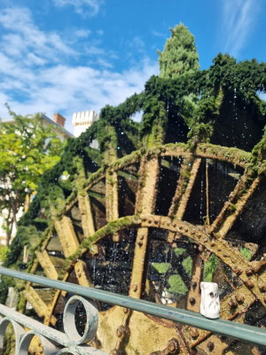 Sur un moulin de l'Isle sur Sorgue...