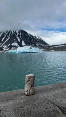 Au pied du Spitzberg, sur l'île de Svalbard...