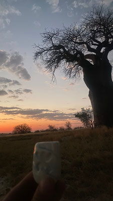 Quelque part, au pays des Baobabs, au Botswana...