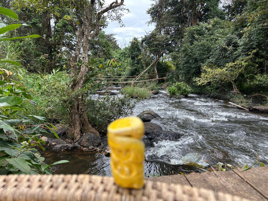 Au bord de la casdade Bolovens, au Laos ...