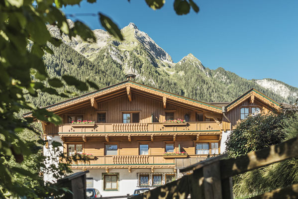 Brückenhof in summer - house and surrounding