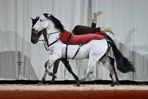 CHEVAL PASSION 2025 - MISEC - Clément FERRON
