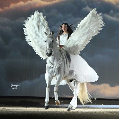 CHEVAL PASSION 2025 - Spectacle les Crinières d'OR - Vincent LIBERATOR