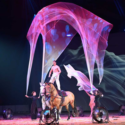 CHEVAL PASSION 2025 - Spectacle les Crinières d'OR - Marie BARCELO & Pierre Antoine CHASTANG