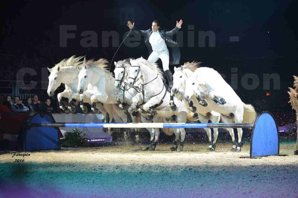 Cheval Passion 2016 - Spectacle les Crinières d'OR - LORENZO "Noir"