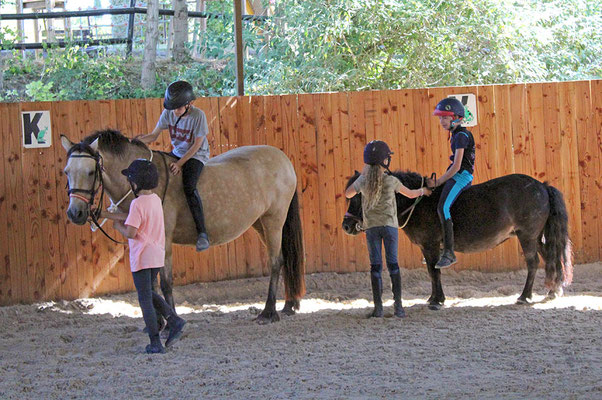 Stage d'équitation, cours de poney