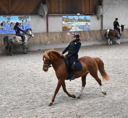 Stage d'équitation à Noël, dressage dans le manège