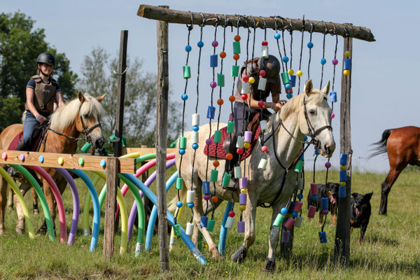 Horse Park 