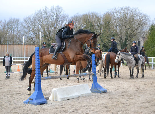 Stage d'équitation à Noël, CSO dans la carrière