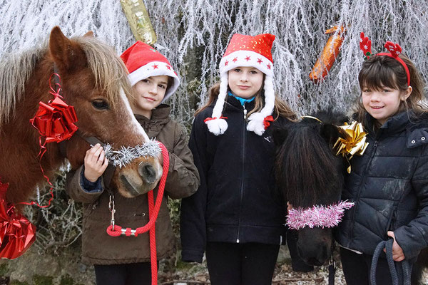 Stage poney à Noël