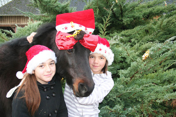 ambiance noël pendant les stages poney