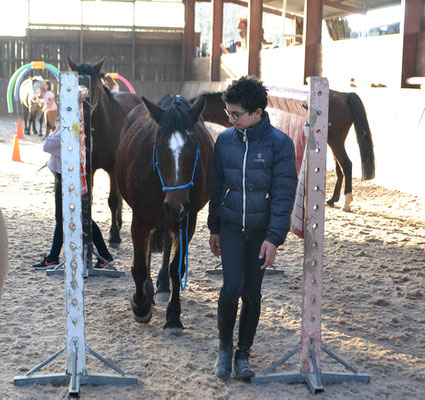 Stage d'équitation en décembre, travail en main