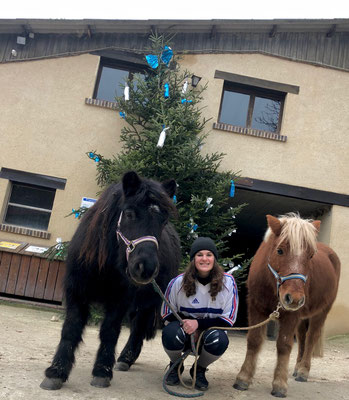 Stage poney à Noël, nos shetlands devant le manège