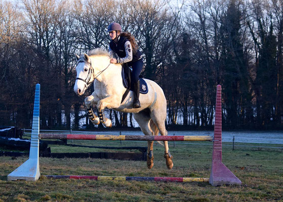 Stage d'équitation à Noël, CSO dans l'herbe