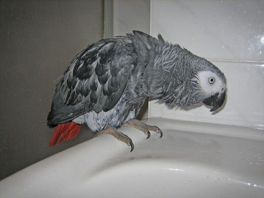 nach dem Baden