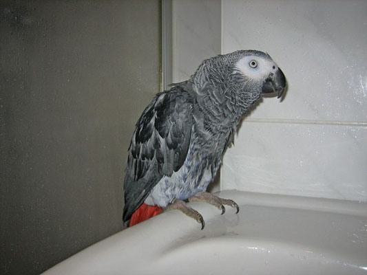 nach dem Baden