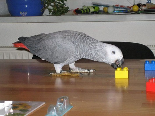 Bausteine sind toll...