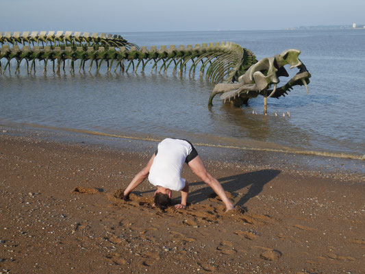 Prasarita Pado Tadasana Iyengar