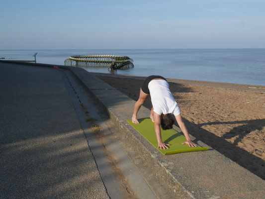 Adho Mukha Svanasana Iyengar