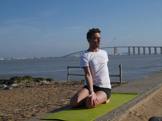 Bharadvajasana Iyengar