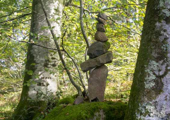 Vieux arbres et Totem roches volcaniques