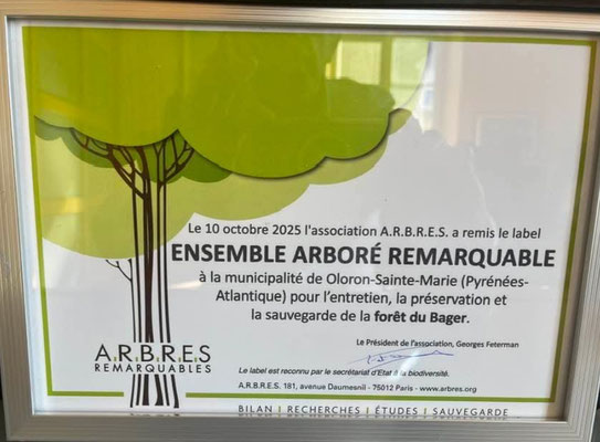 Label remis à la ville d'Oloron le 10 octobre 2025 pour l'ensemble arboré remarquable en forêt du Bager à Oloron (64400)