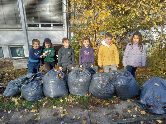 Garten-AG Hirschbergschule