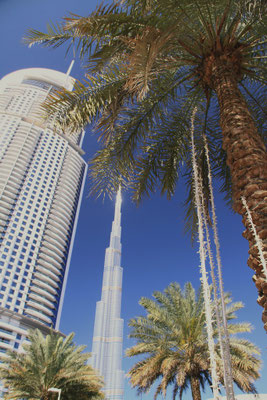 Przy Dubai Mall