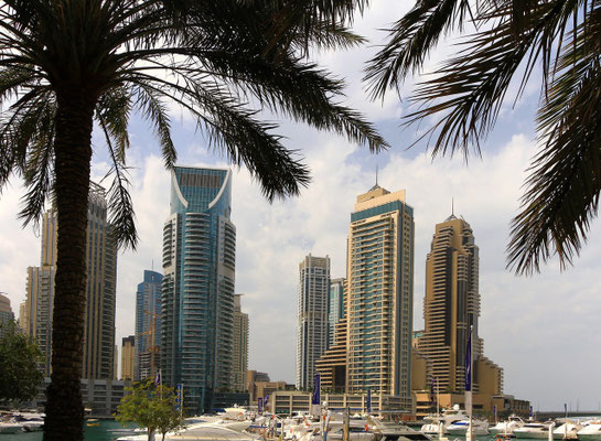 W cieniu pod palmami - Dubai Marina