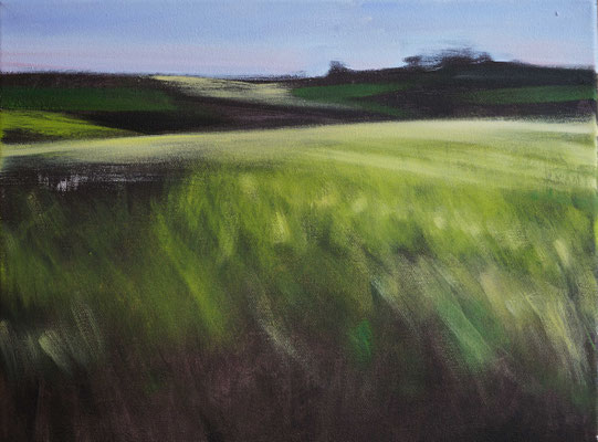 Landschaft bei Merzkirchen, Öl auf LW, 30 x 40 (sold)