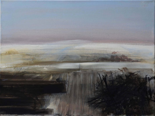 Schnee von Vorgestern, 2009, Acryl auf Leinwand, 40 x 50, (sold)