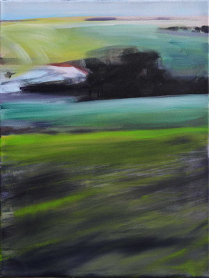 Maifeld Senke, 2017, Öl auf Leinwand, 40 x 30  (sold)