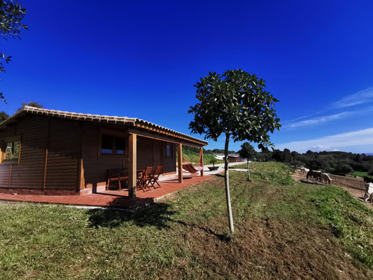 Casa Neka