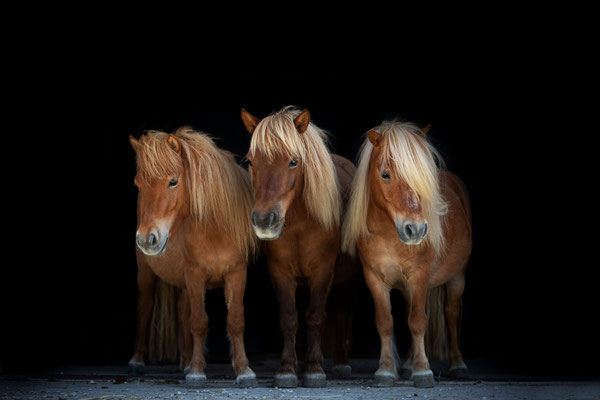 Leni, Lara und Leo