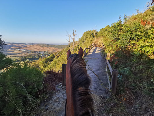 Über die Holzbrücke nach Vejer
