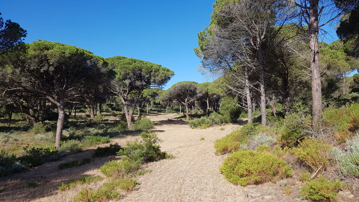 Beim Heimweg durch den Naturpark