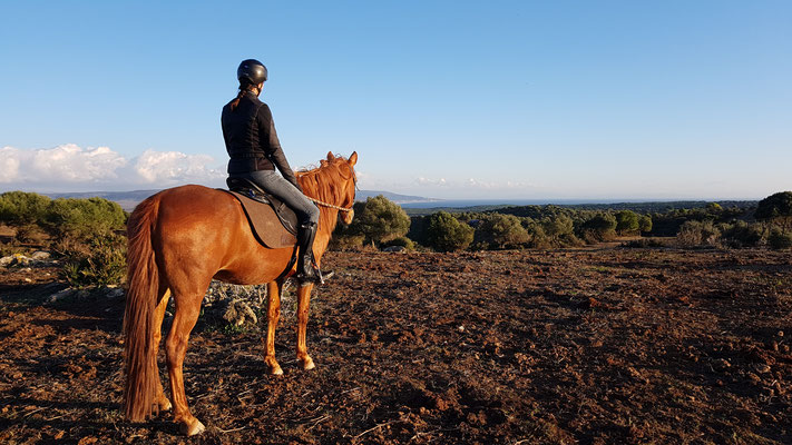 Gipsy und ihre Reiterin genießen die Aussicht