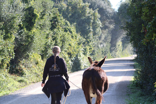 Auf dem Heimweg