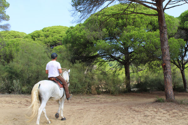 Reiten im Naturpark 