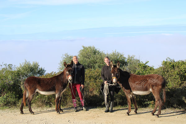 Eselwandern in Andalusien