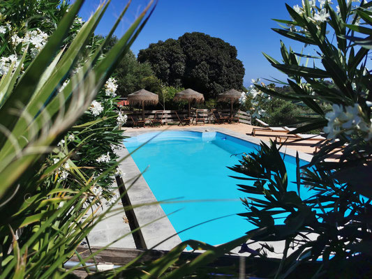 Gemeinschaftspool