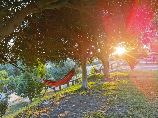 Hängematten im Sonnenuntergang