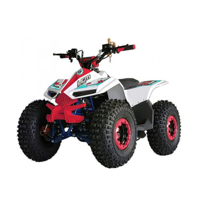 LEM - MINI QUAD "GRIZZLY" 110CC 4T - MONOCILINDRICO - AVVIAMENTO ELETTRICO - FRENI A DISCO - PNEUMATICI ANT./POST. 7" - PESO 92KG.